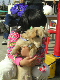 KO250126photo067