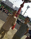 KO340824photo056