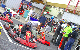 KO800924photo059